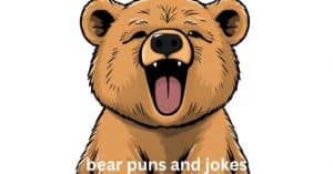 bear puns and jokes