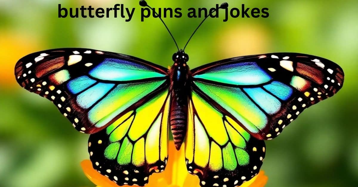 butterfly puns and jokes