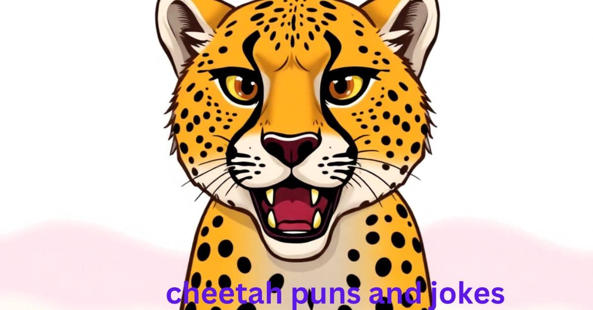 cheetah puns and jokes