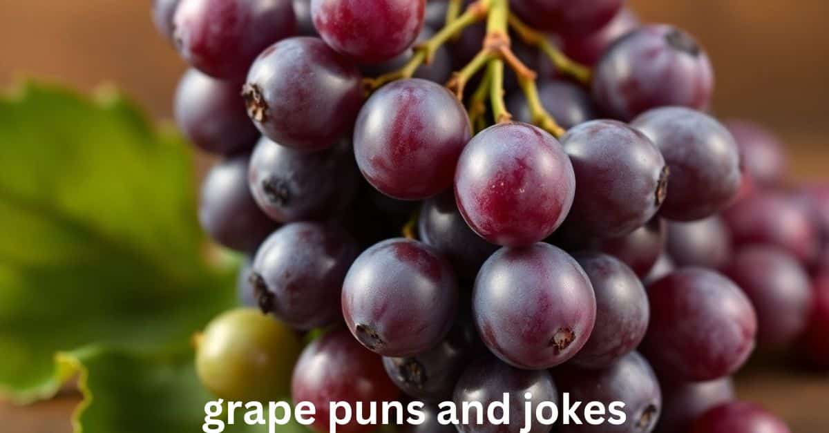 grape puns and jokes