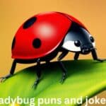 ladybug puns and jokes