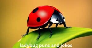 ladybug puns and jokes