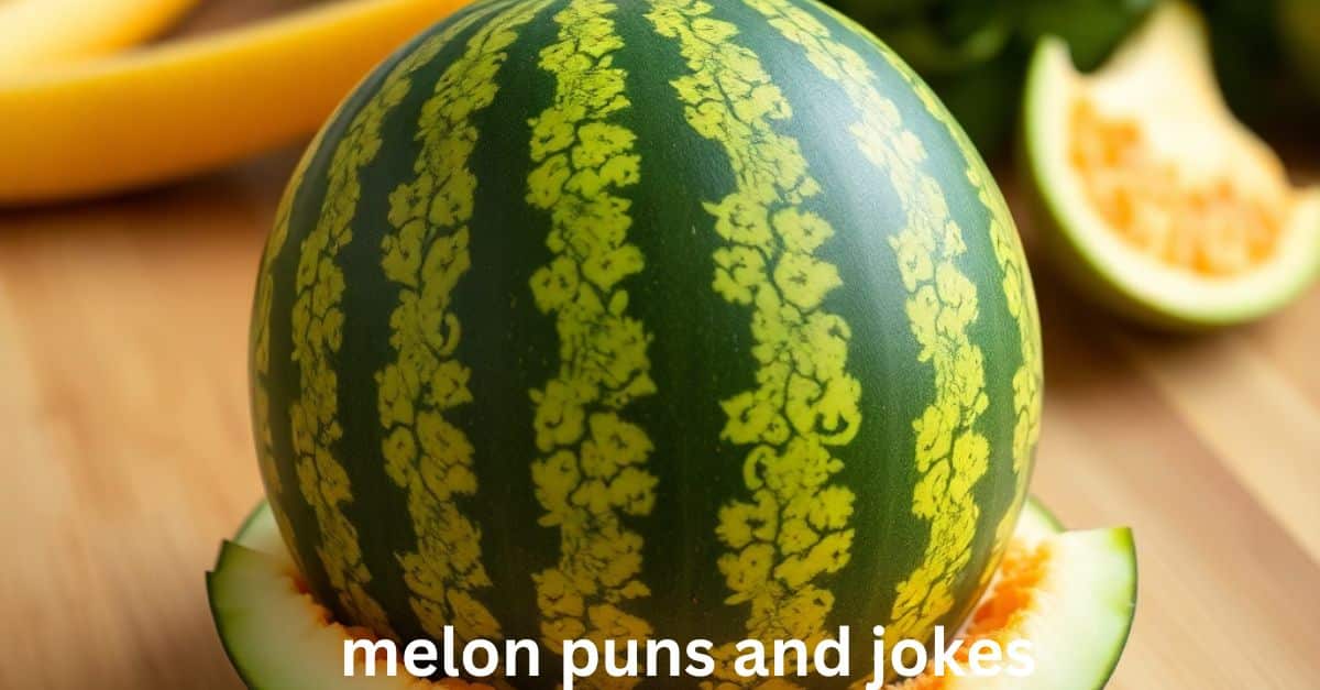 melon puns and jokes