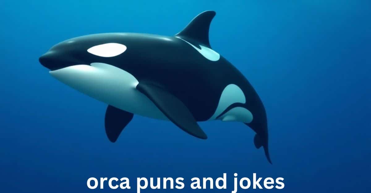 orca puns and jokes