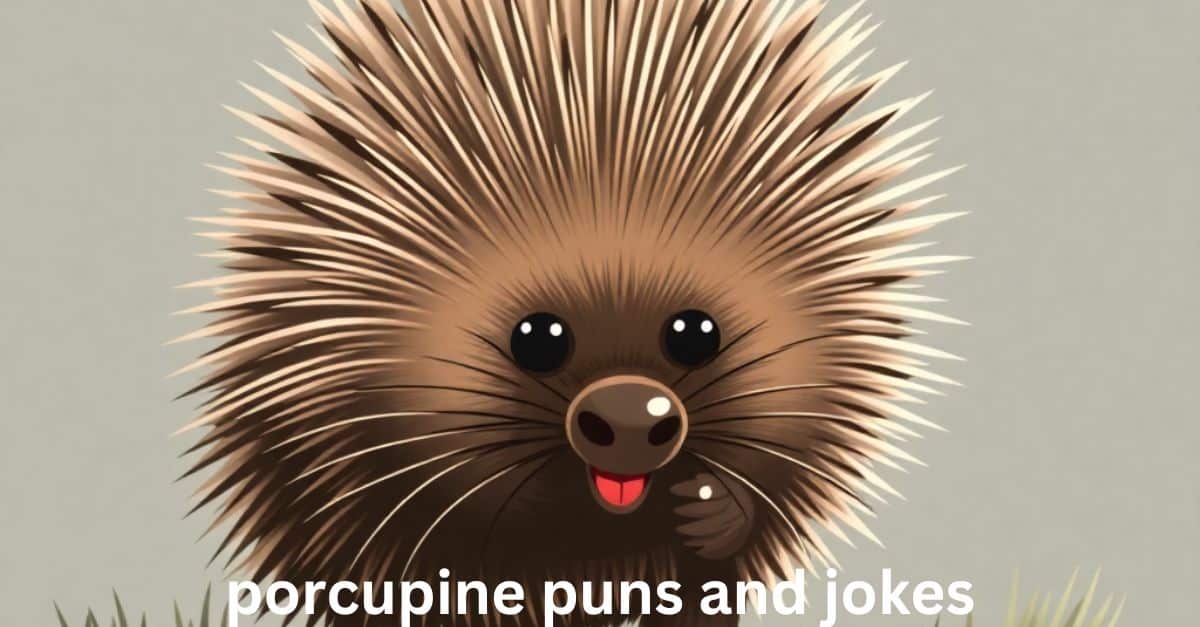 porcupine puns and jokes