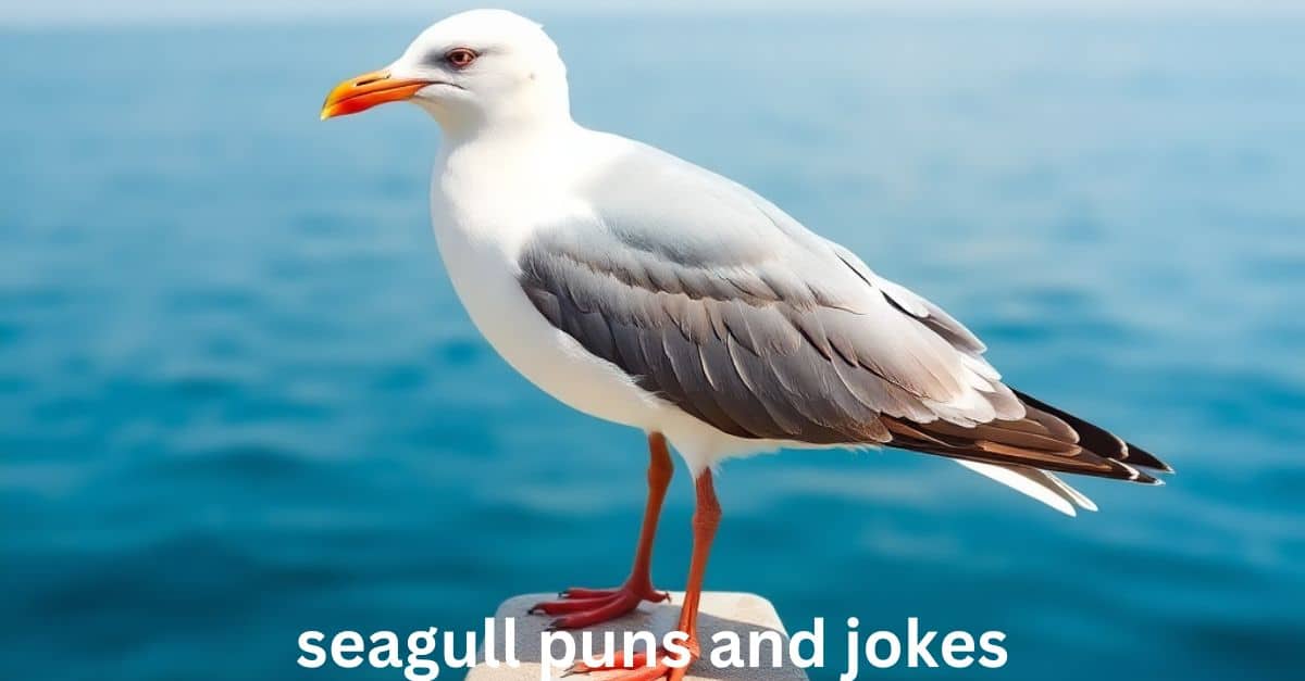 seagull puns and jokes